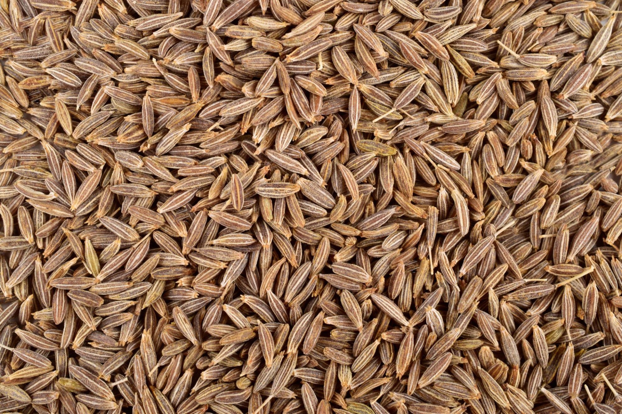Cumin Seeds
